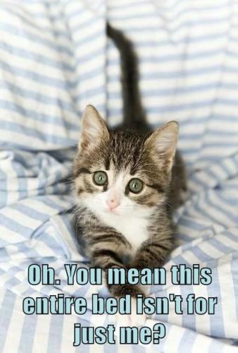 f5a38aba7c9a4376396c881be04d4d8f