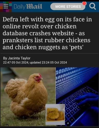 photo_2024-10-11_19-33-20