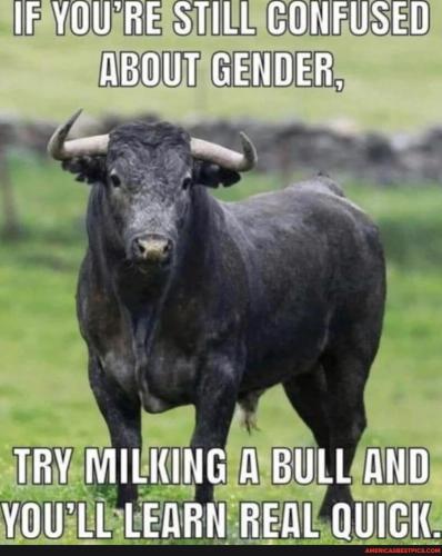 f7a846df1ba54bed9195960e5dab9b21f7f790c0d1de1bd53c0b81e1262f7dcb_1