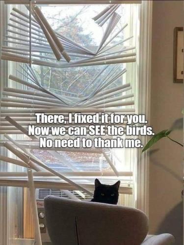 1e974a827cc7620f74f912bc613cf23a