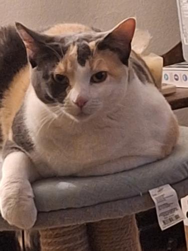 Notes_241009_153421_a04