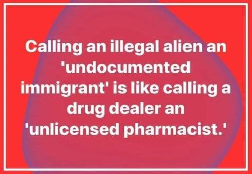 35B13C49-1EB1-4AB9-86B3-4AF3519415C4