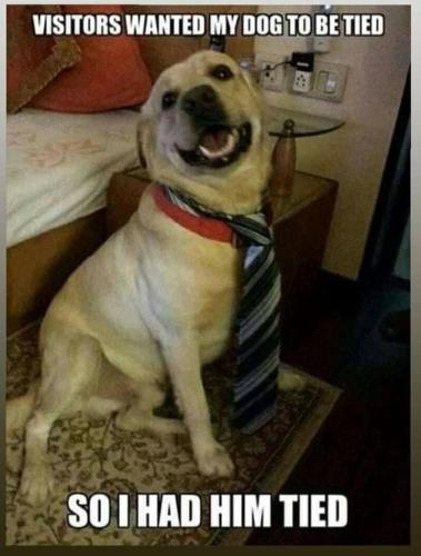 f44b6c4b05be4041b91150f361899630