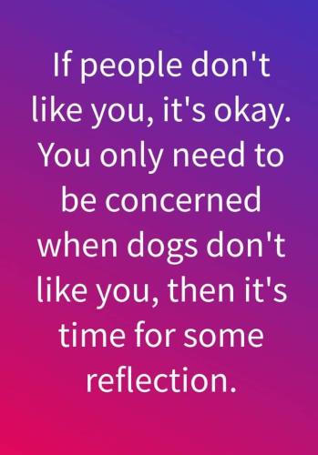 19560E97-F57F-45AF-9ACA-F97B3EAC220E