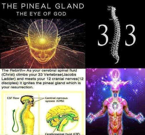 ,                              ,    ,