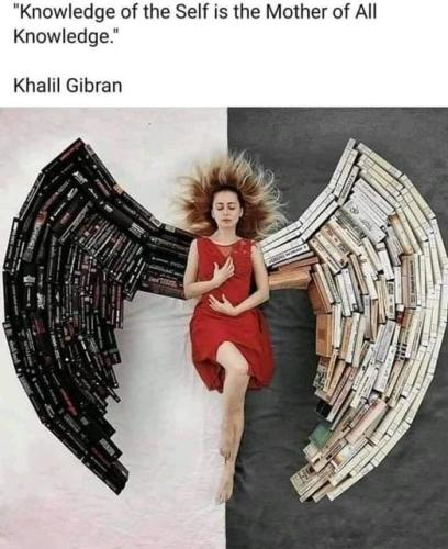 462713433_1336026940868564_8071287918677582841_n