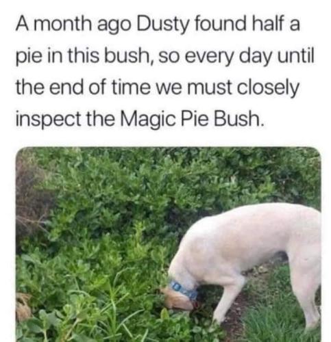 65332561-AC52-4450-BDD2-88299249DEA5