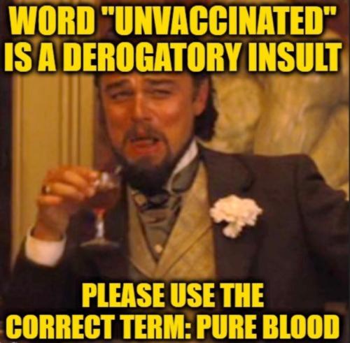 image_0A8B0D7F-C767-4A4F-B793-B029075A74C5