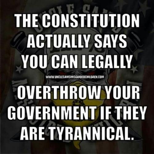 ccaf4aaacab0784a5cb06954efb7447b