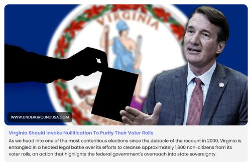 Virginia Nullification screenshot