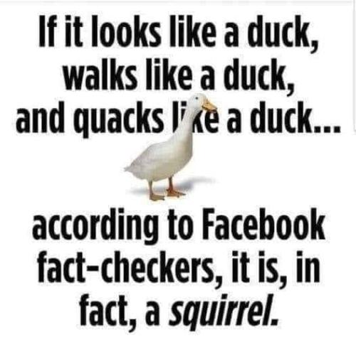 7125C290-EEE7-4049-913F-A7B0A351227C