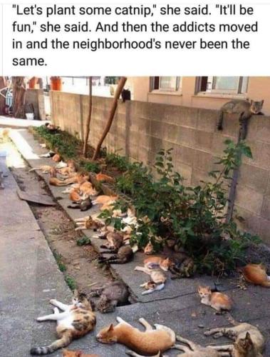 75A6A4E8-9E88-49BF-A2CB-0332A5256D46