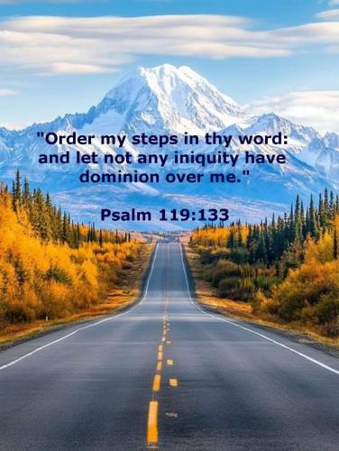 bc7e6911-a773-411a-aa13-b599f1a66298