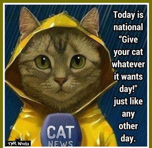 83e4dd68557f8b582ec1c8538e722a0a