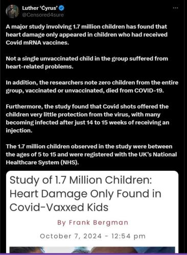 Screenshot 2024-10-09 161719