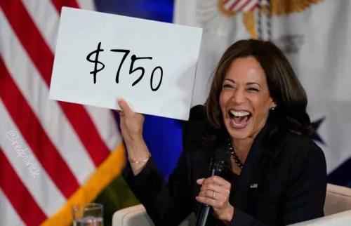 Kamala Harris Holding A Sign 13102024074618