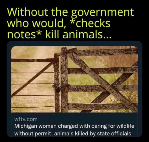 photo_2024-10-28_17-54-23