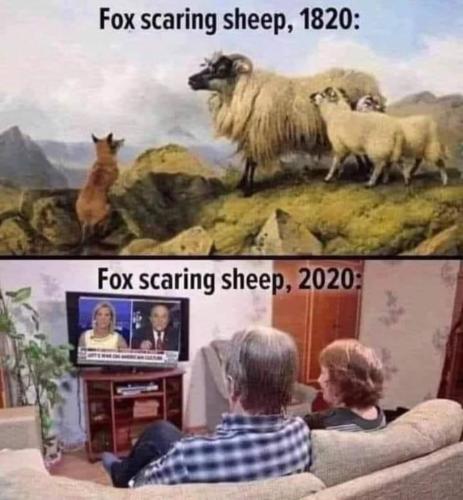 image_E624D3C9-0FC1-4724-9583-68D0BD1240FE