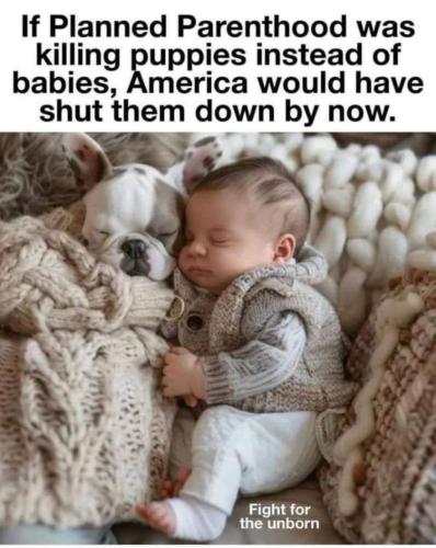 IMG_20241024_075610_616