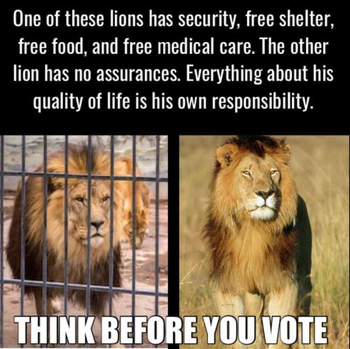 1A6B90E3-C12C-4B01-B3F9-4A0B35CD3532