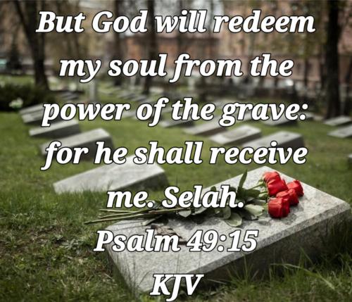 39df0afd-f4be-48a7-af96-65d989eaf846