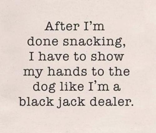 a44881bbd1cdcd84c2962561c9165b4a