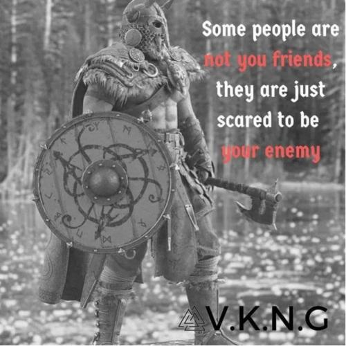 Viking Warrior.960px
