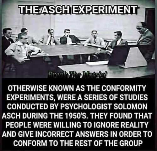 asch experiment