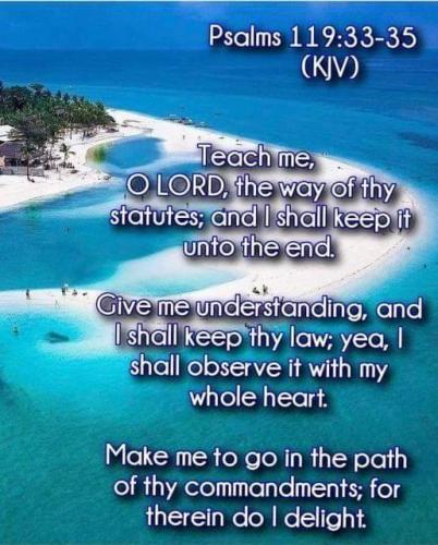 77b88d28-c1a2-41af-b07c-504476188e71