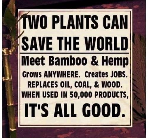 A345C571-B039-4475-8D97-A0D7BDCC973A