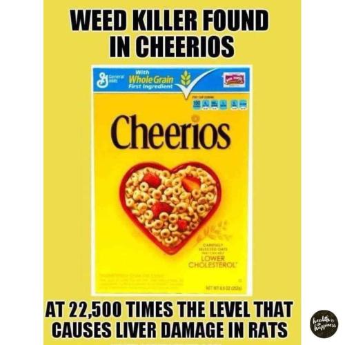 FB_IMG_1730216793996