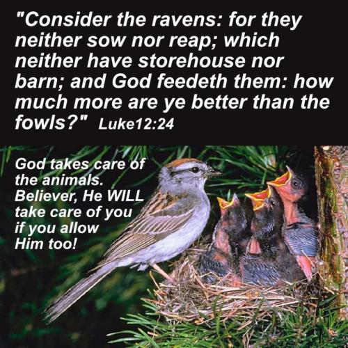 c6ed4281-06dd-4974-9e5a-333d09d2c0b9