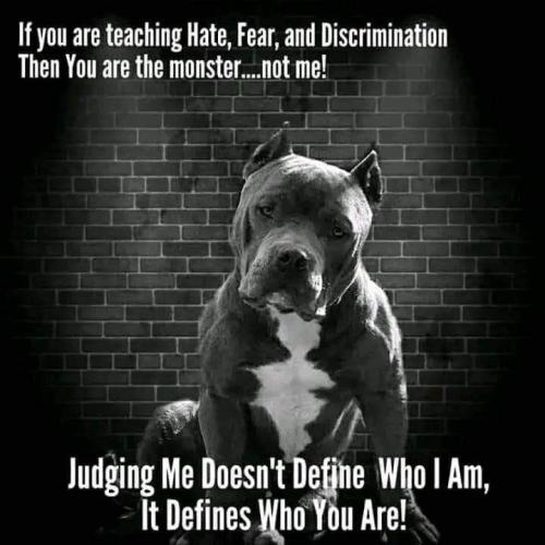 a8643256fc8da6370e910f881131754f