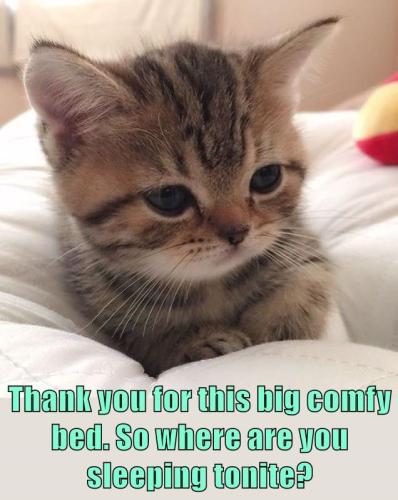 where-are-you-sleeping-tonite