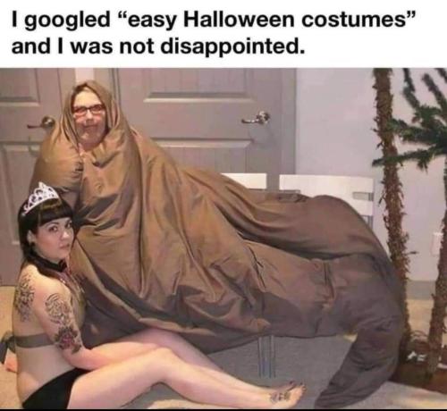 image_C0109554-B481-411B-8CEF-2FD1AFD5AD43