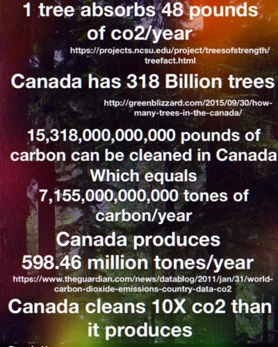 canada cleans