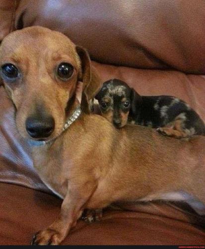 19245bd8ef91f42596c2fa191c8172521c2df4f7ebd3cdc8633db5615d49c37e_1