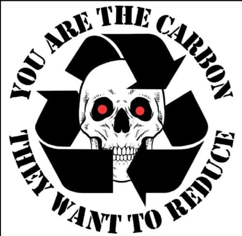 FB_IMG_1728525869413