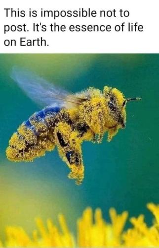 462345485_8777545692276900_7482062916438838256_n