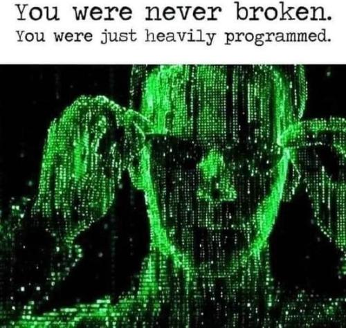 461597694_122111986508520347_2651940379104746969_n