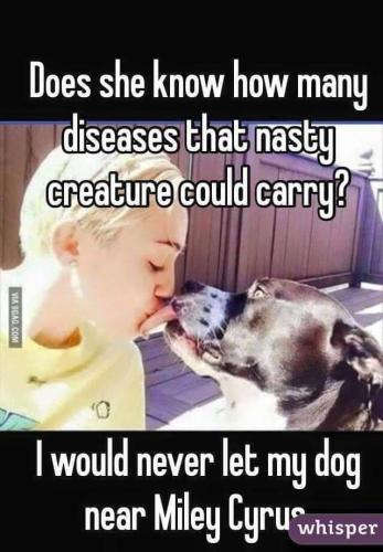 23107765-48DE-4A80-8258-F8537BD011D5