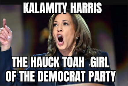 kamala harris603