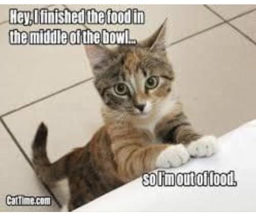 240ce1065e89946154123df0b265f08a