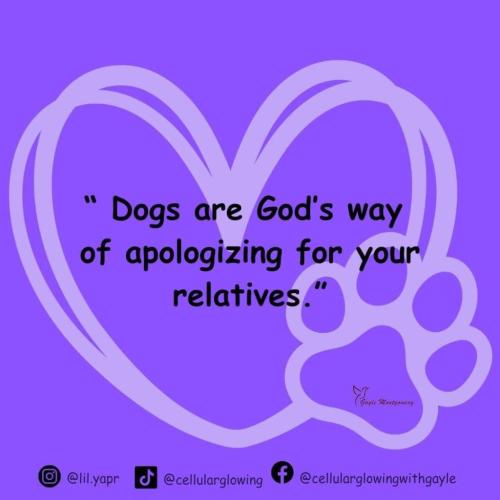 63FAE1E6-93DC-45B0-8EC2-4883847F6F75