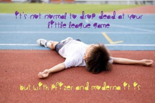 image_D4D780C9-8E96-4D36-B3D5-768B2DF83A81