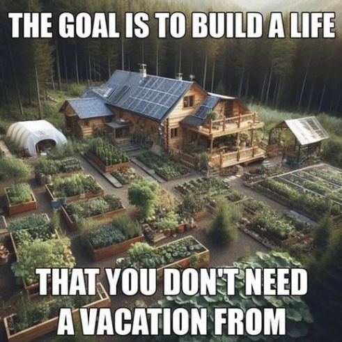 Image 11-02-2024 at 21.47