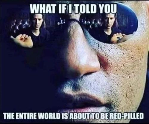 462000791_838160165141029_6783028143706146446_n