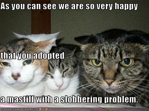 bf5d7c3e9ab2abc5dcd664502bfc9742