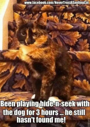 883efa40895c4546f05979f429e847a6 (1)