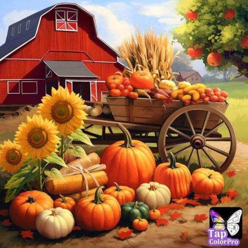 FB_IMG_1728134553299